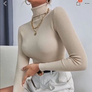 Turtle neck sweater in beige